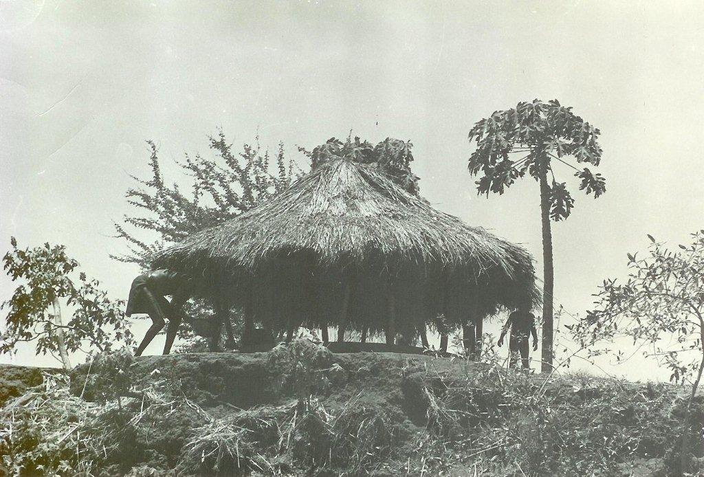Rural landscape with a straw hut